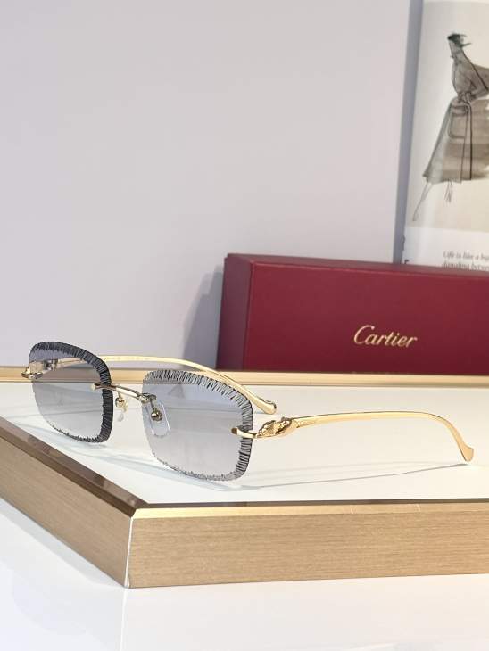 Picture of Cartier Sunglasses _SKUfw79683740fw